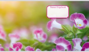 A field of pink torenia flowers on a yellow-green blurred background