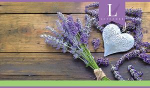 Bouquet of lavender with a silver heart on a wooden backdrop