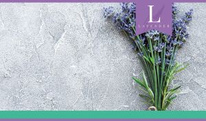 A bouquet of fresh lavender sprigs on textured grey concrete surface