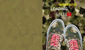 Camouflage classic skate shoes against a military color background