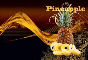 Vibrant Notes | Nature's Close Ups with a Touch of Artistry on Black