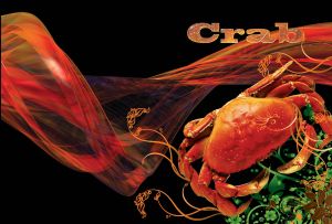 Red crab with big claws close up, decorated with vector elements on black