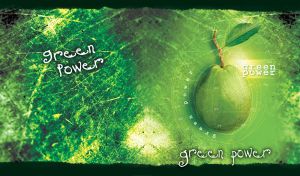 Green avocado with a leaf, surrounded by abstract lines of analysis and measurement