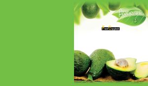 Fresh avocados on white and green background