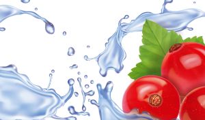 Navy blue juicy splashes and red currant berries on a white background