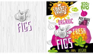 Best Fruits Royal | Cubism Art Sketches on Black & White