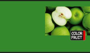 Fresh apples in close-up on a green monochrome