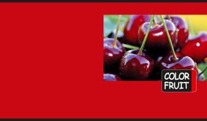 Fresh cherries in close-up on a red monochrome