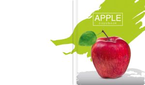 Fruity Strokes | Colorful Brush Patterns on White Canvas