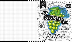 Sketch of a fresh and healthy green grapes and black inscription on white