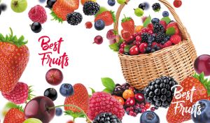 Best Fruits | Fresh and Fruity Delights | Close-ups