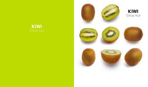 Juicy kiwi fruit layout on white and lime green