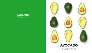 Fresh avocado layout on white and green