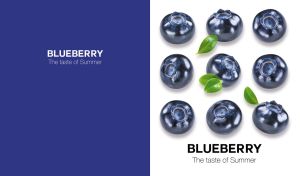 Ripe blueberry layout on white and navy blue