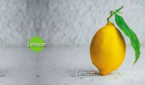Vertical lemon exposure against a light gray textured backdrop