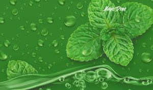 Fresh mint leaves amidst splashes and water droplets on a green backdrop