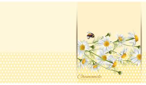 Gift card with chamomile flowers on a pastel yellow polka dot backdrop