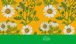 Vector illustration with stylized daisy patterns on dark yellow and green