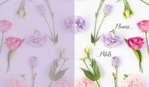 Assorted colorful composition of carnations and roses on pastel violet