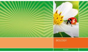 Subject Notebook Series | Sunburst Pattern Background | Part 1