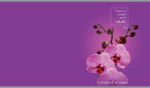 Beautiful pink orchid blossoms on a lilac background