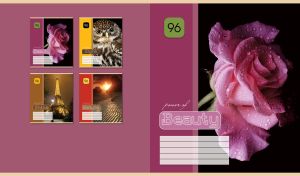 Power of Beauty - close up shot of a pink rose with soft petals covered with dew drops on black