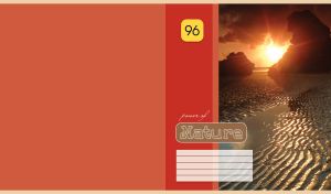 Power of Nature - long shot of an orange sunset rays on the dark rocks of the muddy shore