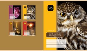 Power of Sight - close-up shot of a mottled brown and cream owl with yellow eyes on black