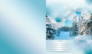 Fir tree forest in the winter snow