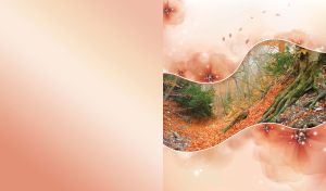 Ruby forest in the autumn leaves