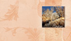 Nature | Season Cards on Pastel