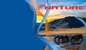 Horses drinking water at a black mountain on a blue background