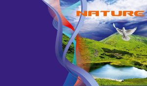 White pigeon soaring over lake with green hills on a violet blue background