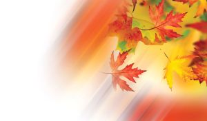 Autumn design of red and yellow maple leaves with diagonal colorful lines.