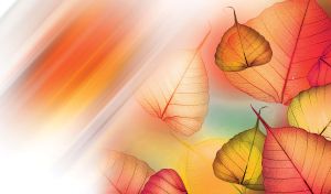 Autumn design with red and yellow peepal leaves with diagonal colorful lines.