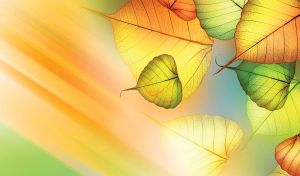 Autumn design with green and yellow peepal leaves with diagonal colorful lines.