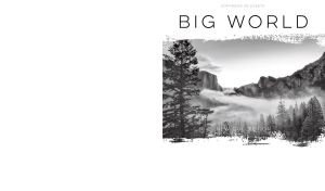 Monochromatic landscape with spruce trees in the foggy mountains on white