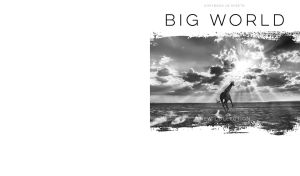 Monochromatic landscape with a giraffe in the sunlight on white