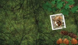Squirrel in a postage stamp frame on green with acorns and cones