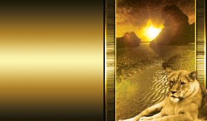 Lioness lies at the gold texture with the sea and two big rocks