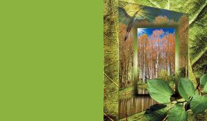 Green leaves, birch grove and a soaring stork with abstract transparent frame