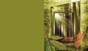 Green leaf and brown butterfly by the pine forest with abstract transparent frame