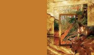 Autumn leaf and a squirrel at a huge roots with abstract transparent frame