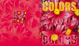 Colors-Flowers, pink asters with yellow stamens, full page pattern