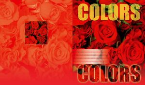 Colors-Flowers, red roses blooming, full page pattern
