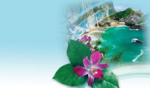 Pink orchid flowers on an azure beach at McWay Falls on a pastel blue vignette