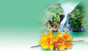Yellow crocus flowers on the green cliffs of Krabi on a pastel green vignette