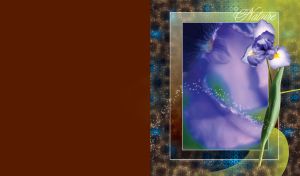 Nature | Flower art compositions with abstract frame