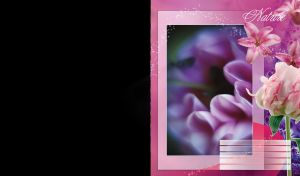 Beautiful pink lilies and peony with blurred violet petals in a framed background