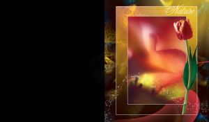 Realistic red tulip with blurred and blurred petals on framed yellow background